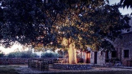 Vlyhada Guesthouse Pírgos Dhiroú Zewnętrze zdjęcie
